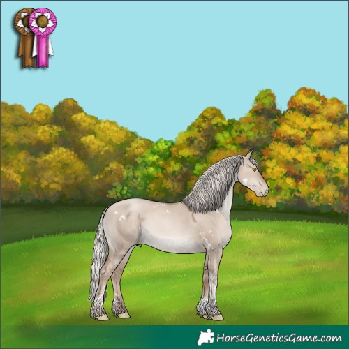 Horse Color:White Spotted Silver Grullo Pearl Mushroom Tobiano