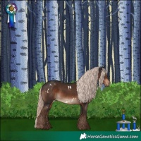 Horse Color:White Spotted Liver Chestnut Mushroom