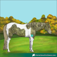 Horse Color:Watercolor Brown Ice Pearl Tobiano