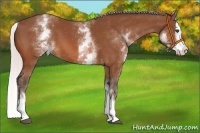 Horse Color:White Spotted Silver Bay Splash