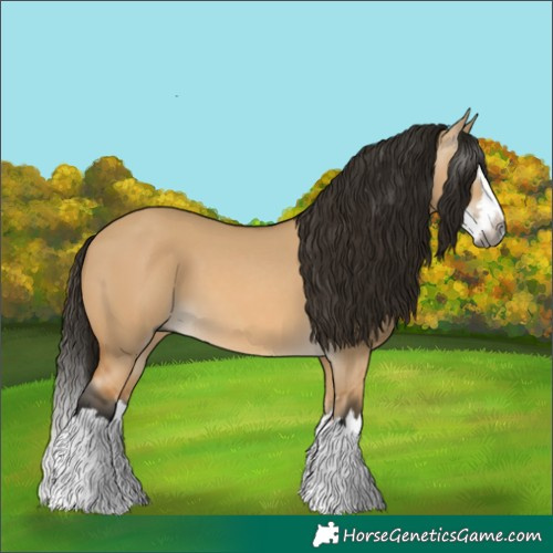 Horse Color:Gray Buckskin Dun Splash