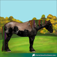 Horse Color:Void Painted White Spotted Liver Red Dun Sabino Splash Brindle 