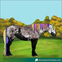 Horse Color:Void Painted Chocolate Silver Buckskin Chinchilla Ice Splash Tobiano