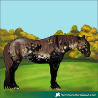 Horse Color:Void White Spotted Chocolate Buckskin Splash Tobiano