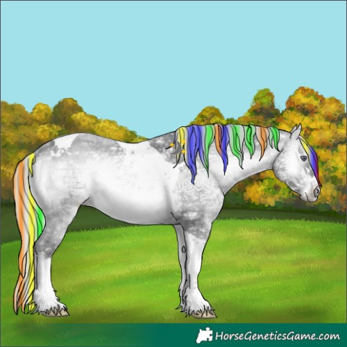 Horse Color:Painted Silver Brown Chinchilla Ice Onyx Sabino Tobiano
