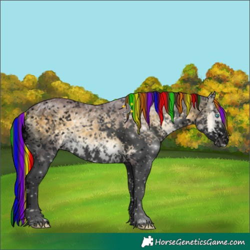 Horse Color:Void Painted Chocolate Buckskin Ice Onyx Sabino Splash Tobiano Snowflake Varnish Brindle