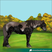 Horse Color:Void Platinum Liver Chestnut Sabino Splash Tobiano