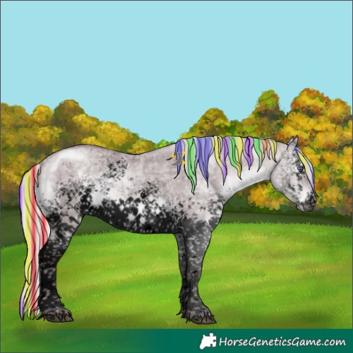 Horse Color:Void Painted White Spotted Chocolate Silver Brown Chinchilla Ice Dun Brindle