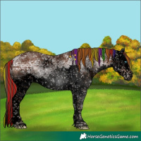 Horse Color:Void Painted White Spotted Liver Chestnut Ice Sabino Splash
