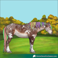 Horse Color:Painted White Spotted Chocolate Silver Brown Ice Tobiano