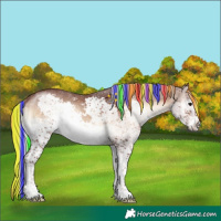 Horse Color:Painted White Spotted Chocolate Silver Brown Onyx Sabino Splash
