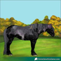 Horse Color:Void Platinum Watercolor Chocolate Brown Sabino Splash Tobiano 
