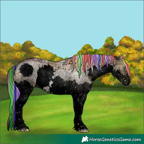 Horse Color:Void Painted Chocolate Silver Buckskin Ice Dun Sabino Splash Brindle