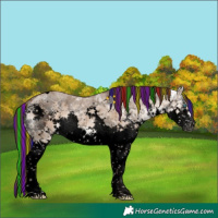 Horse Color:Void Painted Liver Red Dun Ice Sabino Splash Tobiano Brindle 