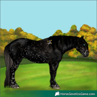 Horse Color:Void Platinum Liver Chestnut Sabino Splash 