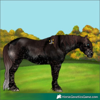 Horse Color:Void Platinum Chocolate Brown Sabino Splash Tobiano 