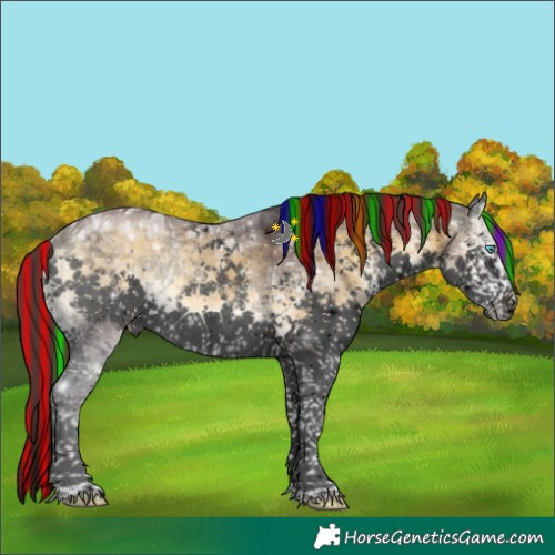 Horse Color:Void Painted Chocolate Buckskin Ice Onyx Sabino Splash Tobiano Brindle 