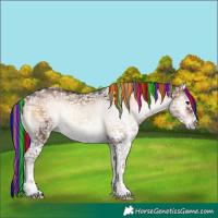 Horse Color:Painted White Spotted Liver Red Onyx Ice Tobiano Brindle 