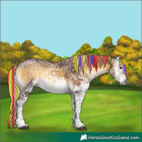 Horse Color:Painted White Spotted Chocolate Silver Buckskin Ice Onyx Tobiano Brindle 
