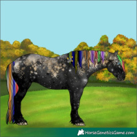 Horse Color:Void Painted Silver Buckskin Ice Onyx Splash Tobiano