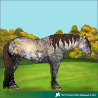 Horse Color:Void Chocolate Buckskin Ice Onyx Sabino Splash Tobiano Brindle