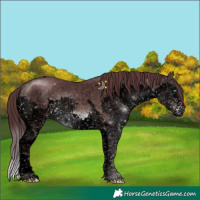 Horse Color:Void Platinum Chocolate Brown Sabino Splash Tobiano 