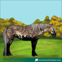Horse Color:Void Chocolate Silver Buckskin Ice Sabino Splash 