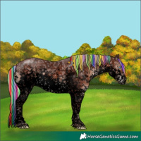 Horse Color:Void Painted White Spotted Chocolate Silver Brown Ice Sabino Splash Rabicano 