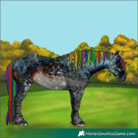 Horse Color:ERROR: UNKNOWN ANOMALY