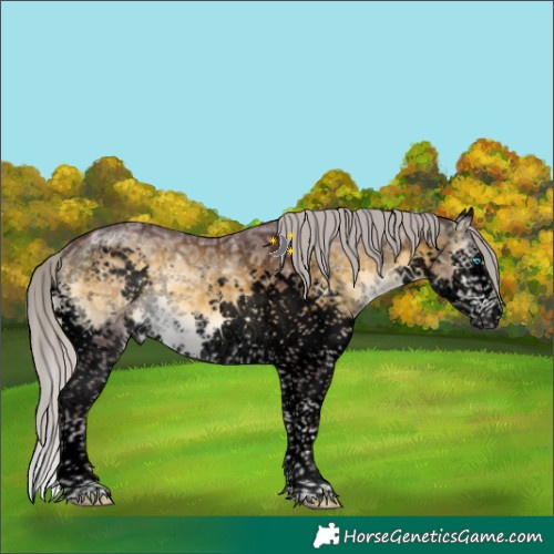 Horse Color:Void Chocolate Silver Buckskin Ice Onyx Sabino Splash Tobiano Brindle 