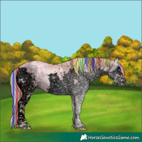 Horse Color:Void Painted White Spotted Chocolate Silver Sable Champagne Ice Onyx Splash Tobiano 