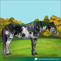Horse Color:ERROR: UNKNOWN ANOMALY