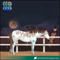 Horse Color:Liver Red Dun Sabino Splash Blanket