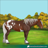 Horse Color:Silver Bay Tobiano Blanket