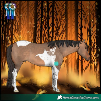 Horse Color:Bay Dun Tobiano 