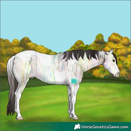 Horse Color:Bay Ice Onyx Sabino Tobiano 