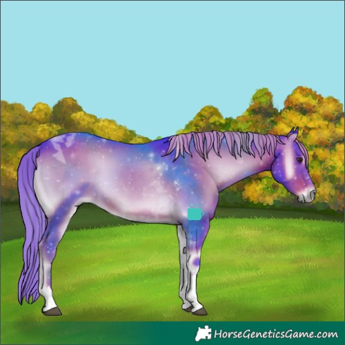 Horse Color:Watercolor Liver Red Onyx Tobiano 