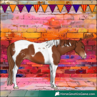 Horse Color:Chestnut Tobiano Blanket