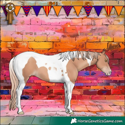 Horse Color:Gold Champagne Tobiano 