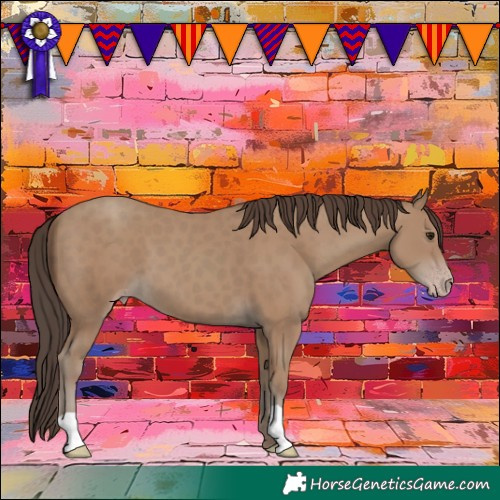 Horse Color:Classic Champagne 