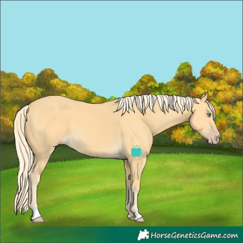 Horse Color:Gold Cream Champagne 
