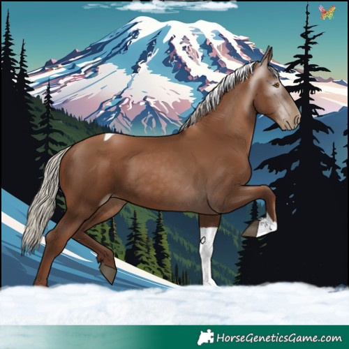 Horse Color:Gray Silver Black Pearl Tobiano