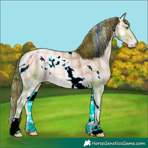 Horse Color:ERROR: UNKNOWN ANOMALY