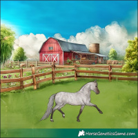 Horse Color:Silver Brown Roan Dun 