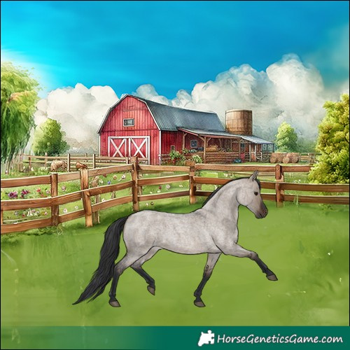 Horse Color:Brown Roan Dun 