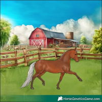 Horse Color:Silver Bay 