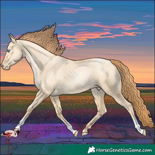 Horse Color:Buckskin Pearl Dun 