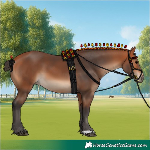Horse Color:Bay 