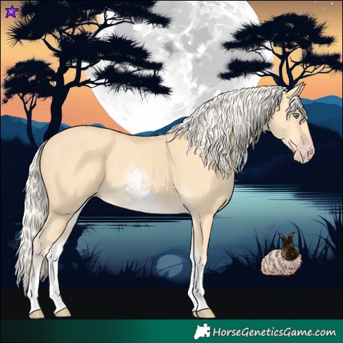 Horse Color:White Spotted Gold Cream Champagne 