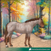 Horse Color:Red Roan 